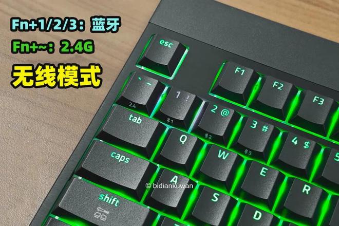 黑寡妇蜘蛛V4矮轴竞技极速版体验新葡京博彩轻薄矮轴指尖狂飙：雷蛇(图7)
