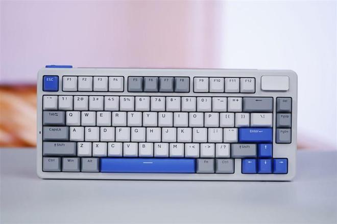 Y-75评测：7层填充造就的无线客制化新标杆澳门新葡京网站三模客制化 雷柏V700DI(图22)